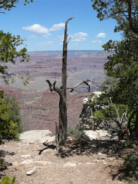 images/C- Yavapai Point Canyon View (2).jpg